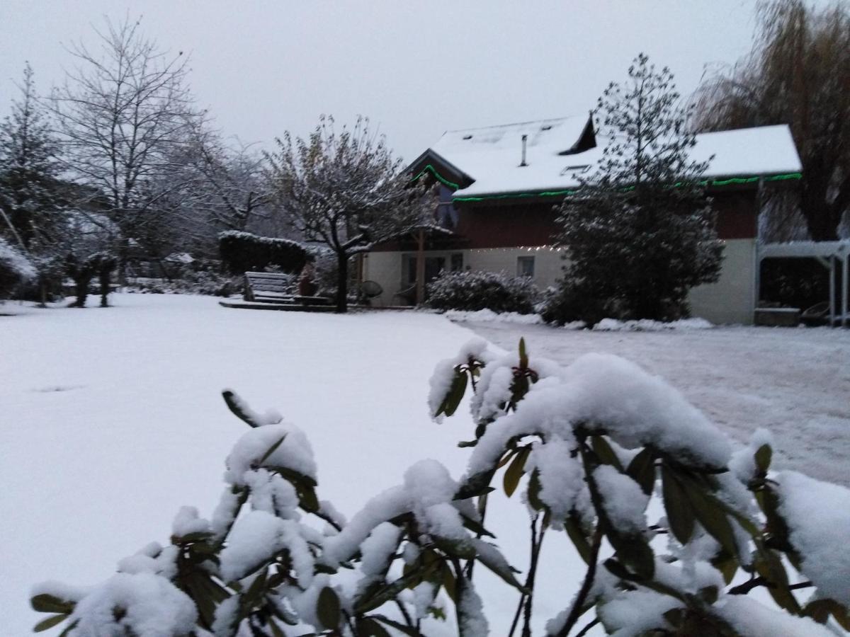 Chalet La Bachole Charancieu Kültér fotó