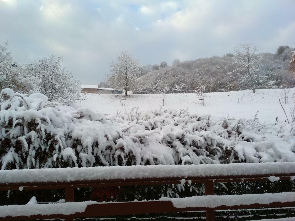 Chalet La Bachole Charancieu Kültér fotó
